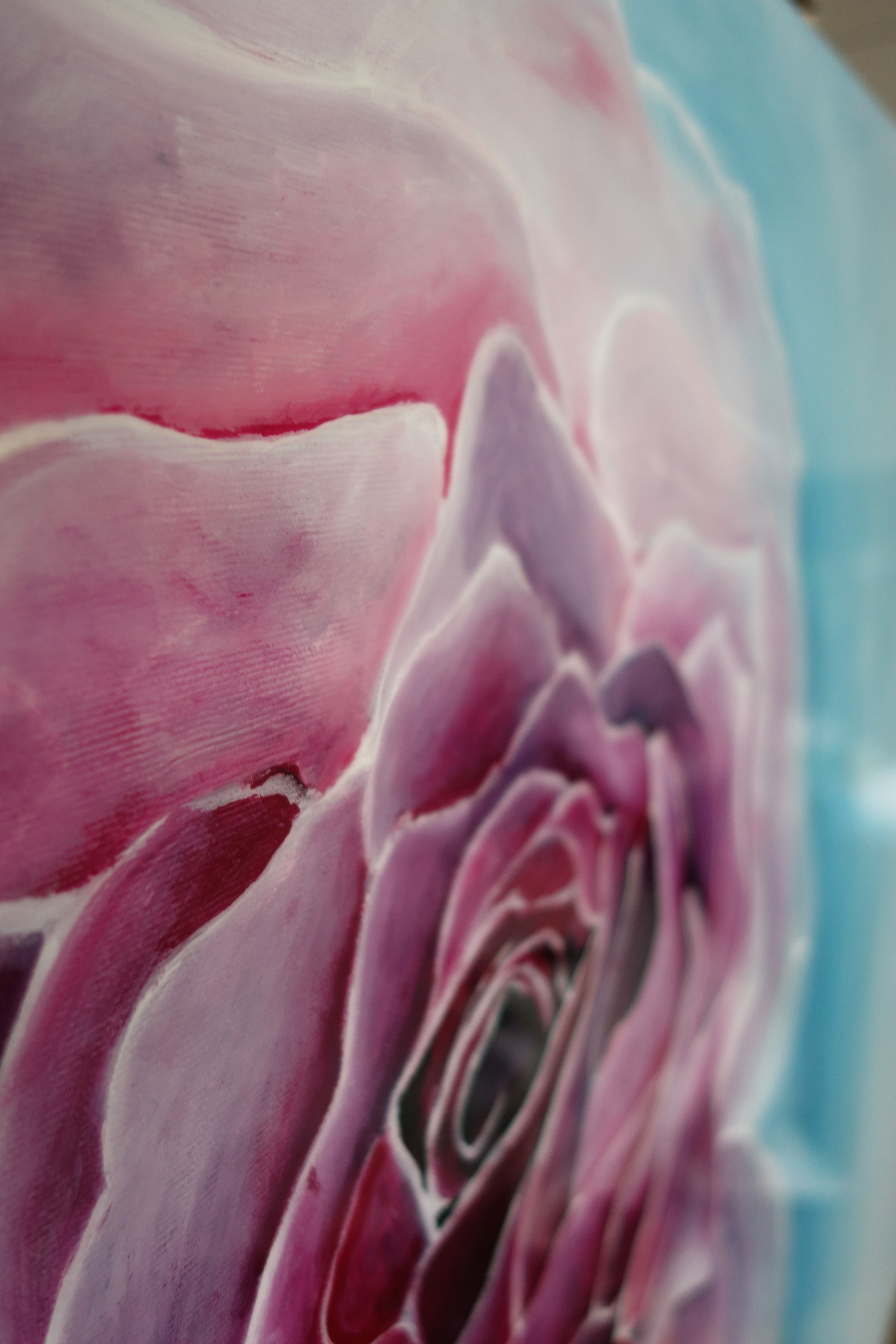 Róża w błękitach