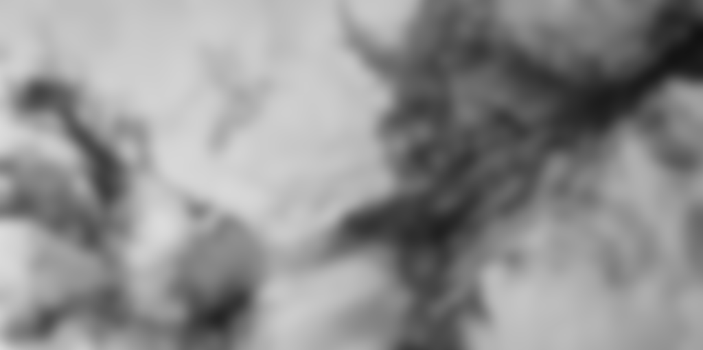Kolibry w tęczowej mgle II