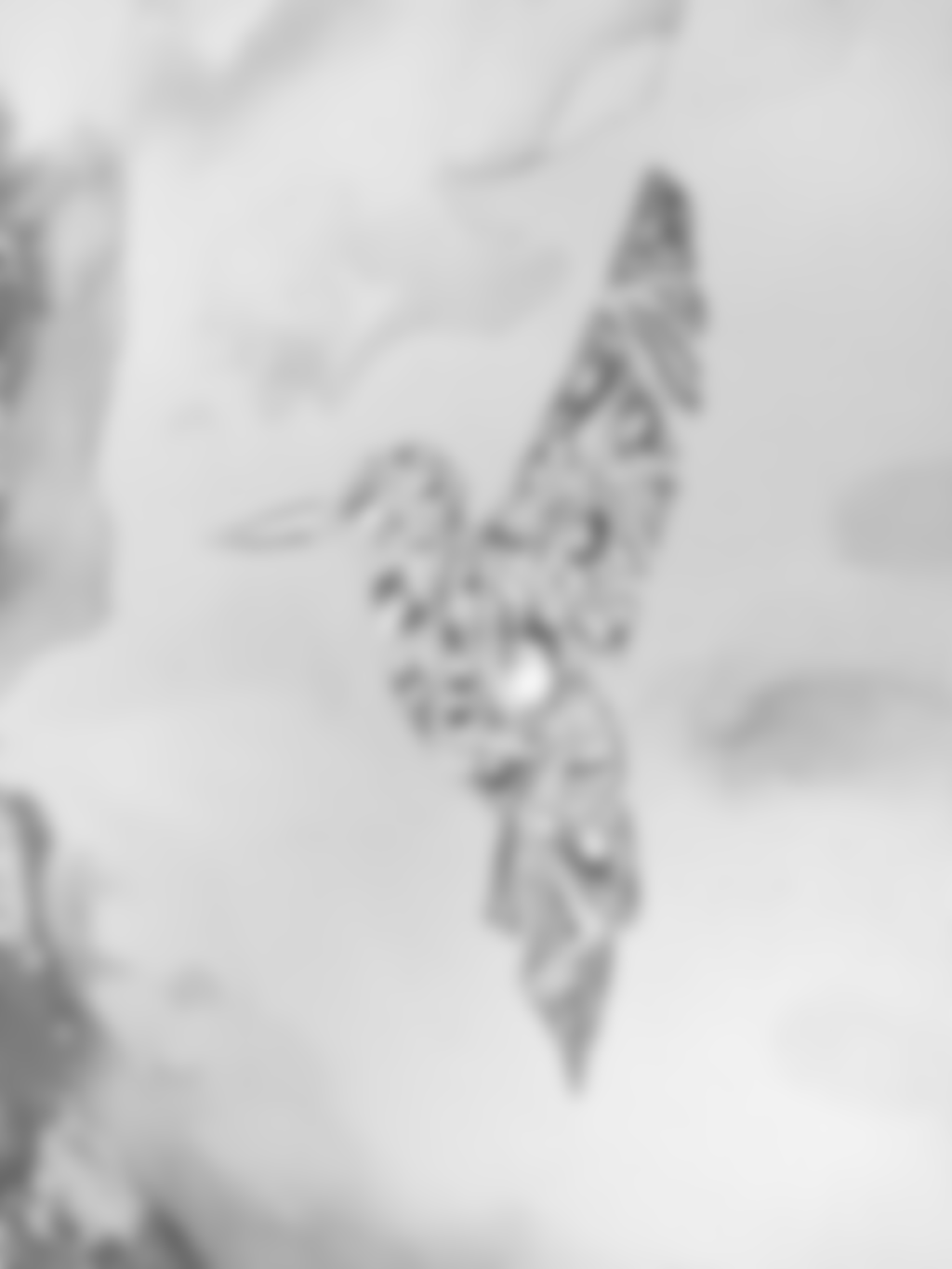 Koliber w tęczowej mgle XS