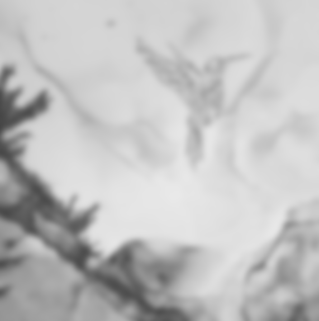 Kolibry w tęczowej mgle VII